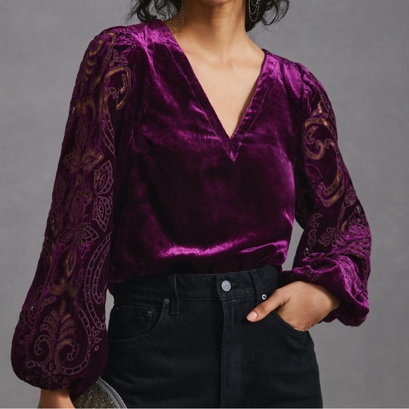 Anthropologie Velvet Cutwork Top V neck Plum XS - NOTE FLAW IN LISTING - Picture 1 of 12